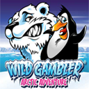 Wild Gambler 2: Arctic Adventure