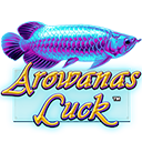 Arowanas Luck