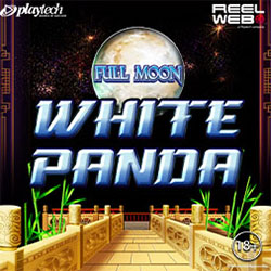Full Moon: White Panda