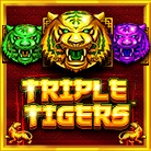 Triple Tigers
