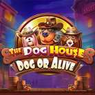 The Dog House - Dog or Alive