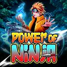 Power of Ninja